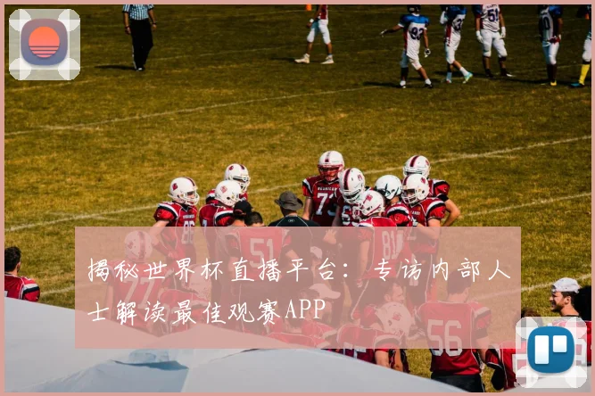 揭秘世界杯直播平台：专访内部人士解读最佳观赛APP