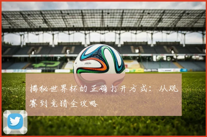 揭秘世界杯的正确打开方式：从观赛到竞猜全攻略