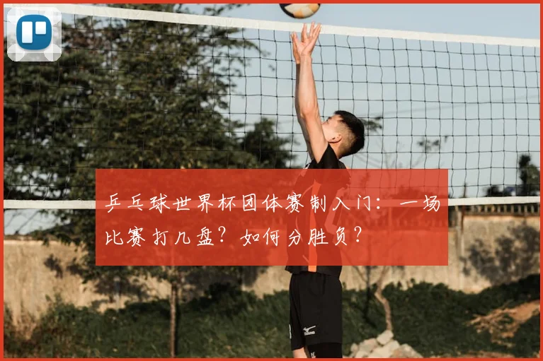乒乓球世界杯团体赛制入门:一场比赛打几盘?如何分胜负?