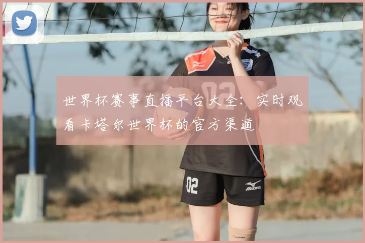 世界杯赛事直播平台大全:实时观看卡塔尔世界杯的官方渠道